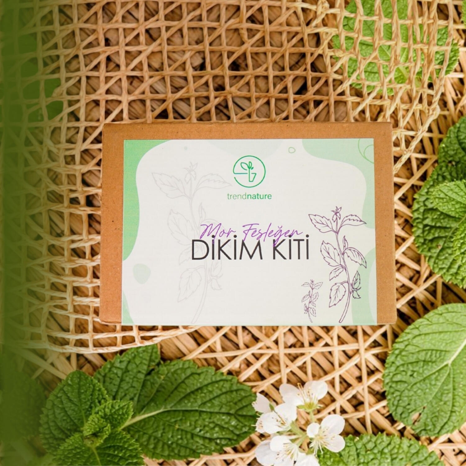 DİKİM KİTLERİ