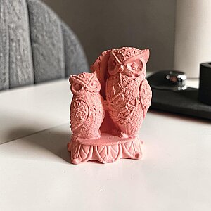 BAYKUŞ BİBLO İKİLİ - PEMBE