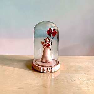 Cam Fanus Love Biblo