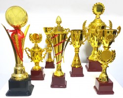 Ödül Kupası 2012-C - Thumbnail