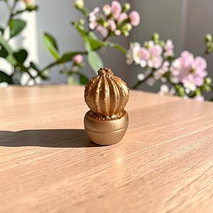 TOMBUL KAKTÜS BİBLO - ALTIN