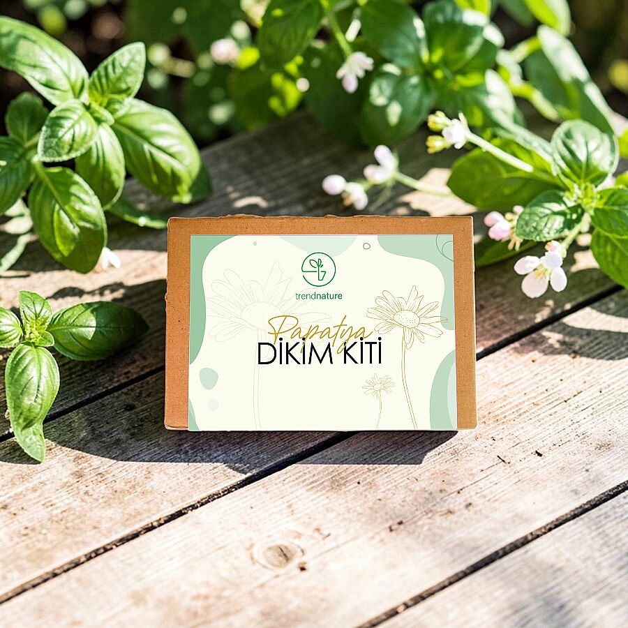 TRENDNATURE DİKİM KİTİ - PAPATYA - 1